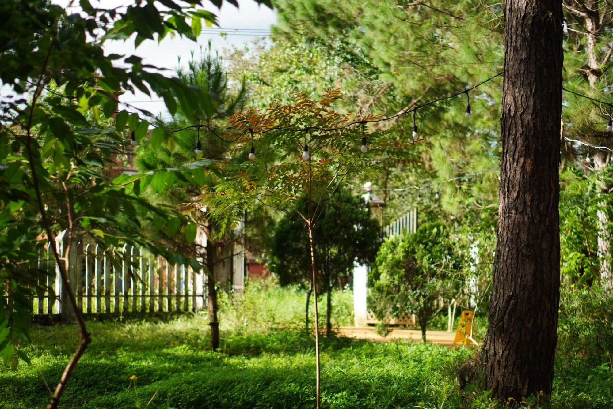 Sum Villa Homestay Mang Den Kon Von Kla Buitenkant foto